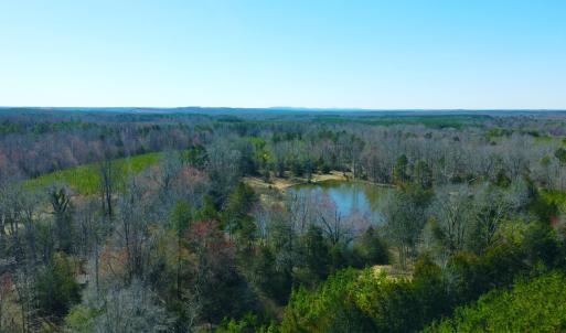 Photo #3 of 357 ac RENAN RD, GRETNA, VA 357.5 acres