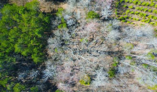 Photo #24 of 357 ac RENAN RD, GRETNA, VA 357.5 acres