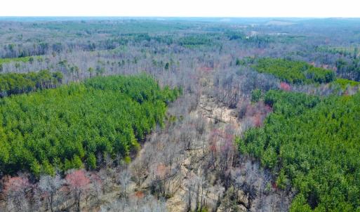 Photo #11 of 357 ac RENAN RD, GRETNA, VA 357.5 acres