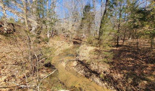 Photo #16 of 357 ac RENAN RD, GRETNA, VA 357.5 acres
