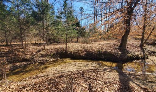Photo #15 of 357 ac RENAN RD, GRETNA, VA 357.5 acres