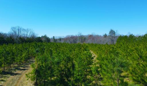 Photo #13 of 357 ac RENAN RD, GRETNA, VA 357.5 acres
