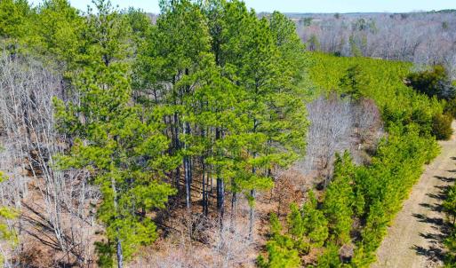 Photo #9 of 357 ac RENAN RD, GRETNA, VA 357.5 acres