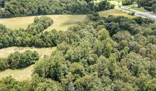 Photo #22 of 11697 SPOTSWOOD TRL, STANARDSVILLE, VA 70.0 acres