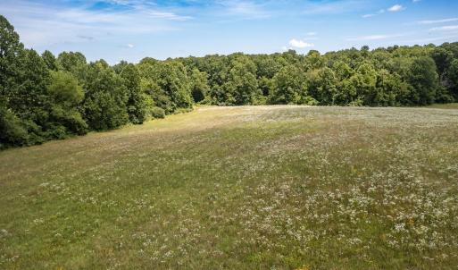 Photo #17 of 11697 SPOTSWOOD TRL, STANARDSVILLE, VA 70.0 acres