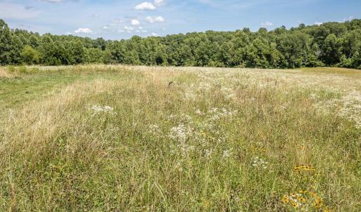 Photo #30 of 11697 SPOTSWOOD TRL, STANARDSVILLE, VA 70.0 acres