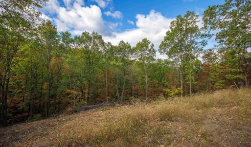Photo #9 of Lot 14 WILDWOOD LN, SHENANDOAH, VA 3.9 acres