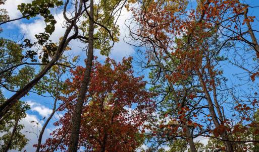 Photo #12 of Lot 14 WILDWOOD LN, SHENANDOAH, VA 3.9 acres