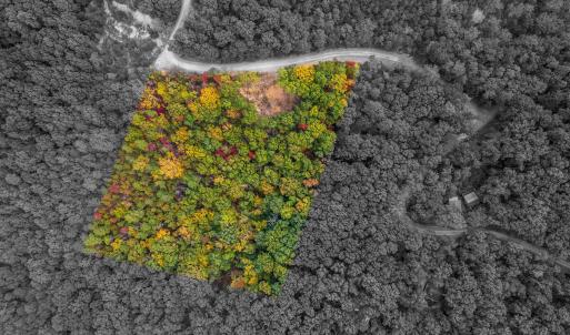 Photo #1 of Lot 14 WILDWOOD LN, SHENANDOAH, VA 3.9 acres