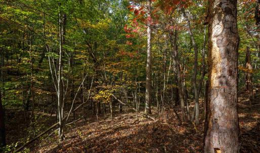 Photo #14 of Lot 14 WILDWOOD LN, SHENANDOAH, VA 3.9 acres