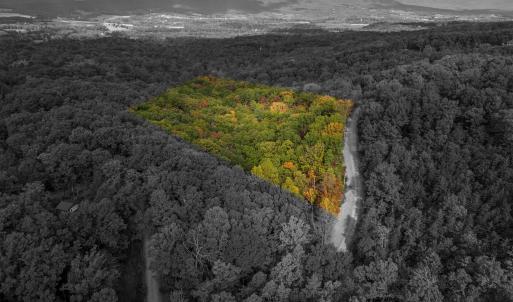 Photo #2 of Lot 14 WILDWOOD LN, SHENANDOAH, VA 3.9 acres