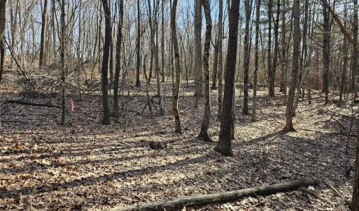 Photo #3 of Lot 1 Revised BERRY FARM RD, STAUNTON, VA 2.0 acres