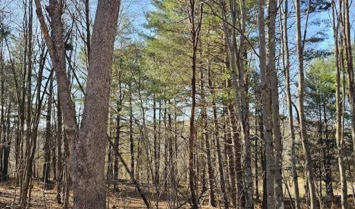 Photo #14 of Lot 1 Revised BERRY FARM RD, STAUNTON, VA 2.0 acres