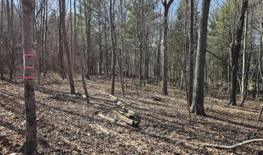 Photo #12 of Lot 1 Revised BERRY FARM RD, STAUNTON, VA 2.0 acres