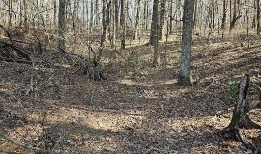 Photo #13 of Lot 1 Revised BERRY FARM RD, STAUNTON, VA 2.0 acres