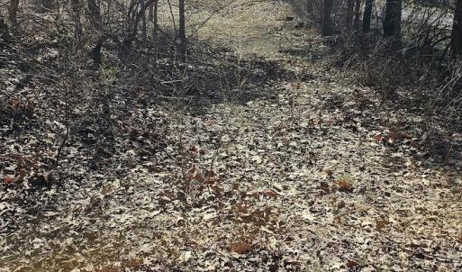 Photo #15 of Lot 1 Revised BERRY FARM RD, STAUNTON, VA 2.0 acres