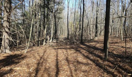 Photo #10 of Lot 1 Revised BERRY FARM RD, STAUNTON, VA 2.0 acres