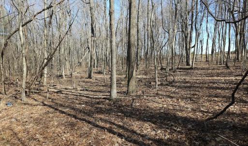Photo #1 of Lot 1 Revised BERRY FARM RD, STAUNTON, VA 2.0 acres