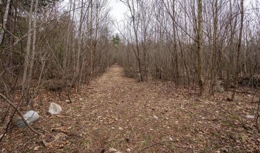 Photo #35 of ROCKY RIDGE LN, FULKS RUN, VA 6.3 acres