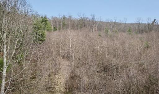 Photo #28 of ROCKY RIDGE LN, FULKS RUN, VA 6.3 acres