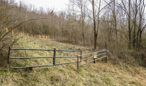 Photo #23 of ROCKY RIDGE LN, FULKS RUN, VA 6.3 acres