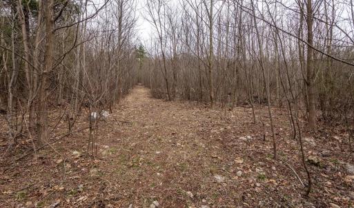 Photo #34 of ROCKY RIDGE LN, FULKS RUN, VA 6.3 acres