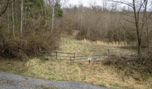 Photo #24 of ROCKY RIDGE LN, FULKS RUN, VA 6.3 acres