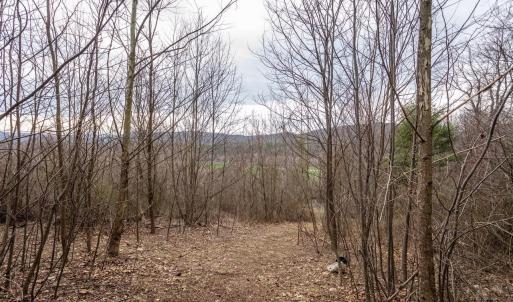 Photo #36 of ROCKY RIDGE LN, FULKS RUN, VA 6.3 acres