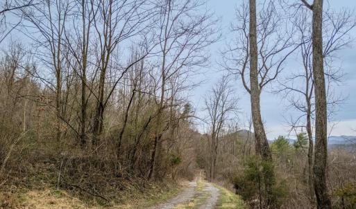 Photo #25 of ROCKY RIDGE LN, FULKS RUN, VA 6.3 acres