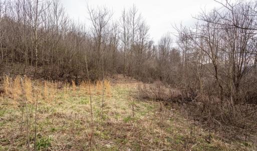 Photo #32 of ROCKY RIDGE LN, FULKS RUN, VA 6.3 acres