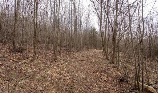 Photo #37 of ROCKY RIDGE LN, FULKS RUN, VA 6.3 acres