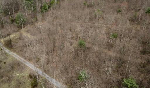 Photo #18 of ROCKY RIDGE LN, FULKS RUN, VA 6.3 acres