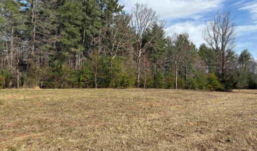 Photo #3 of 2065 LINDSAY RD, KESWICK, VA 61.9 acres