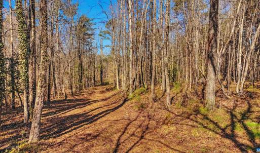 Photo #6 of PINHOOK RD, ROCKVILLE, VA 2.1 acres