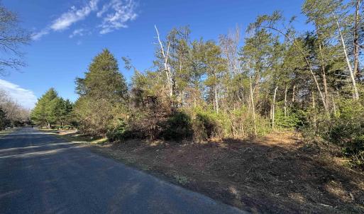 Photo #3 of 717 CEDAR MEADOW DR, NELLYSFORD, VA 0.9 acres