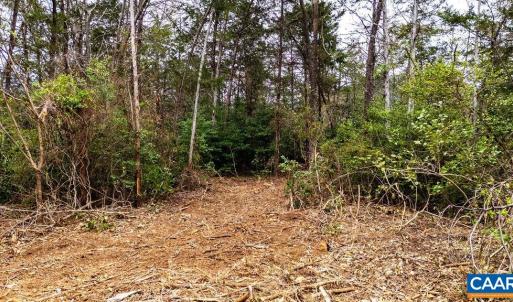 Photo #9 of 717 CEDAR MEADOW DR, NELLYSFORD, VA 0.9 acres