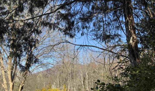 Photo #1 of 717 CEDAR MEADOW DR, NELLYSFORD, VA 0.9 acres