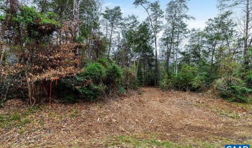 Photo #6 of 717 CEDAR MEADOW DR, NELLYSFORD, VA 0.9 acres