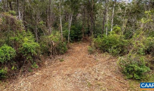 Photo #10 of 717 CEDAR MEADOW DR, NELLYSFORD, VA 0.9 acres