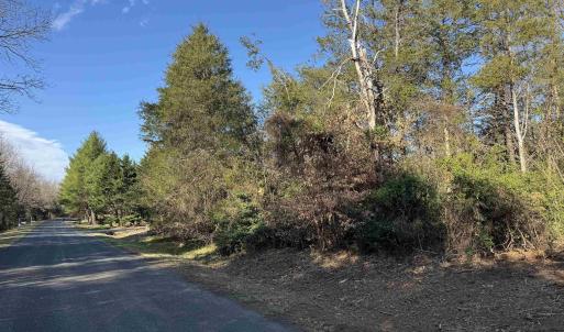 Photo #4 of 717 CEDAR MEADOW DR, NELLYSFORD, VA 0.9 acres