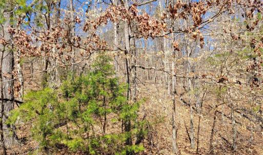 Photo #4 of MERRY OAKS LN, PALMYRA, VA 10.3 acres