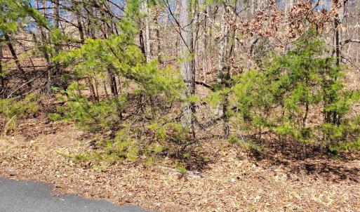 Photo #3 of MERRY OAKS LN, PALMYRA, VA 10.3 acres