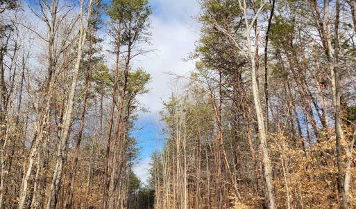Photo #5 of MERRY OAKS LN, PALMYRA, VA 10.3 acres