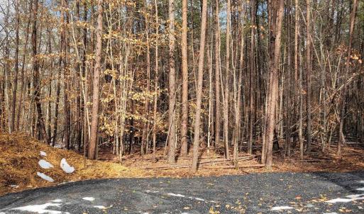 Photo #6 of MERRY OAKS LN, PALMYRA, VA 10.3 acres