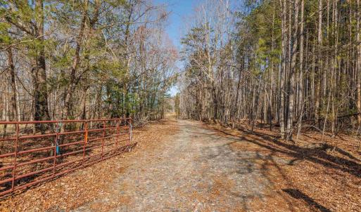 Photo #41 of 159 WARREN FERRY RD, SCOTTSVILLE, VA 136.0 acres