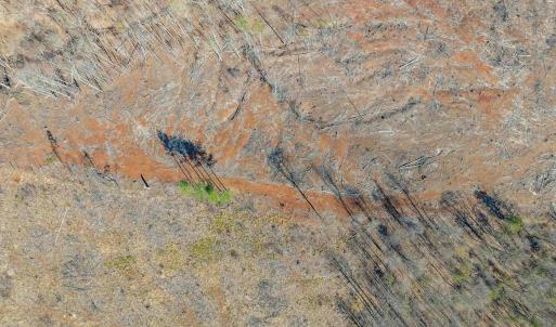 Photo #44 of 159 WARREN FERRY RD, SCOTTSVILLE, VA 136.0 acres
