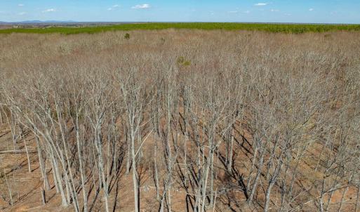 Photo #61 of 159 WARREN FERRY RD, SCOTTSVILLE, VA 136.0 acres