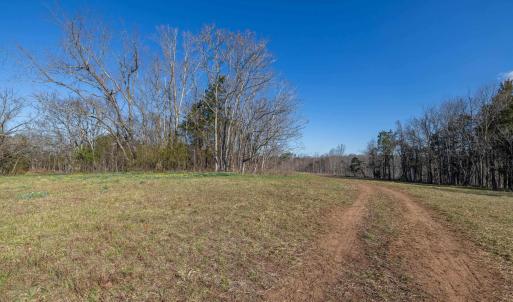 Photo #28 of 159 WARREN FERRY RD, SCOTTSVILLE, VA 136.0 acres
