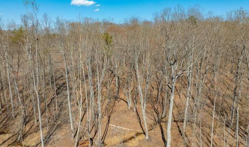 Photo #53 of 159 WARREN FERRY RD, SCOTTSVILLE, VA 136.0 acres