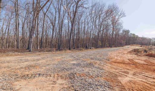 Photo #35 of 159 WARREN FERRY RD, SCOTTSVILLE, VA 136.0 acres